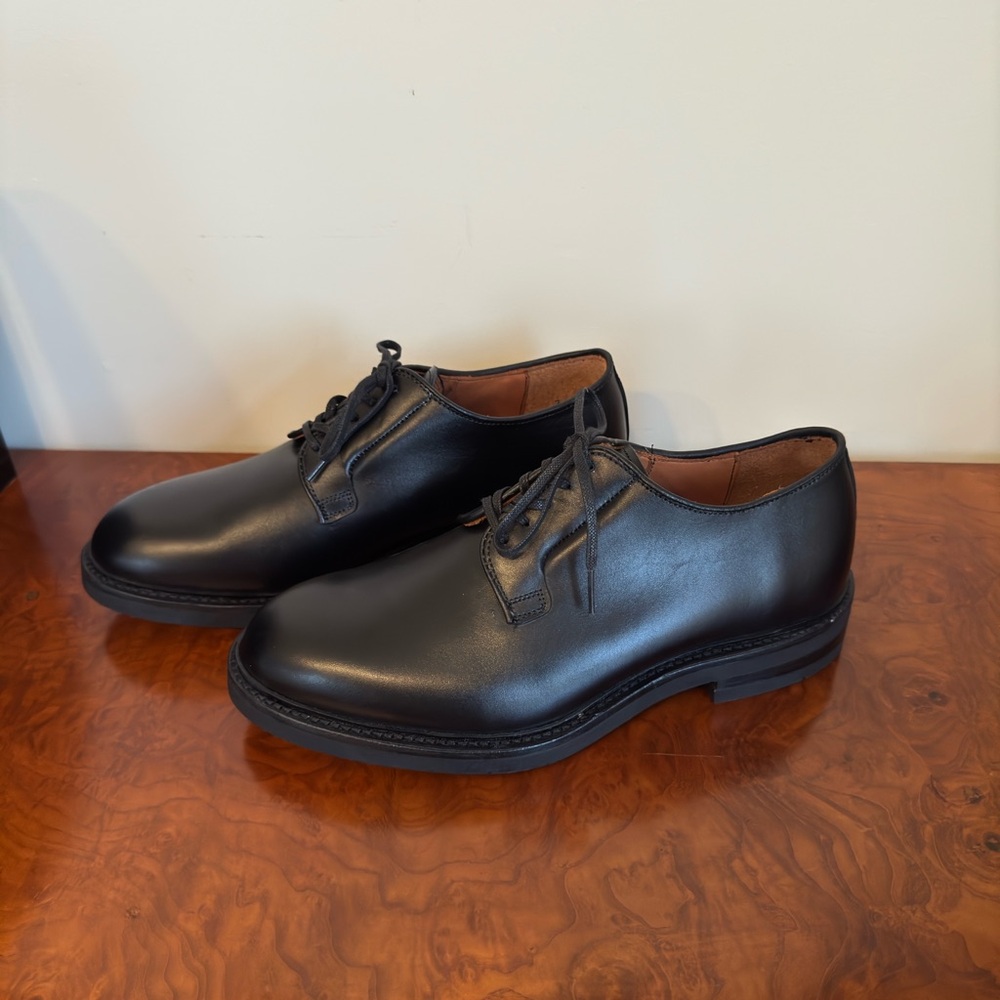 NWOT Men’s Dress Shoes (Allen Edmonds)